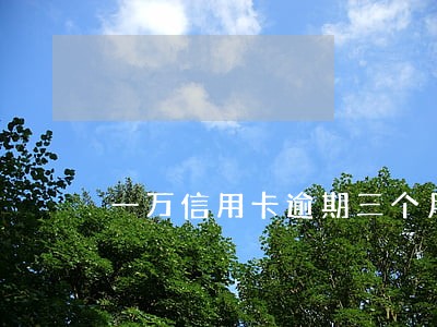 一万信用卡逾期三个月 一万信用卡逾期三个月