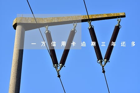 一万信用卡逾期三年还多少 一万信用卡逾期三年还多少