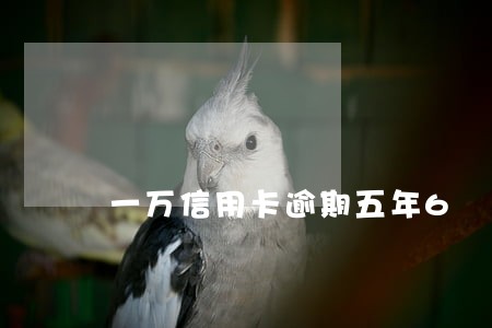 一万信用卡逾期五年6 一万信用卡逾期五年6