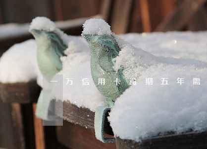 一万信用卡逾期五年需要还多少 一万信用卡逾期五年需要还多少