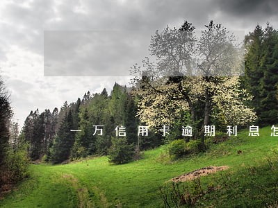 一万信用卡逾期利息怎么算利息