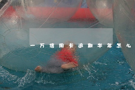 一万信用卡逾期半年怎么办