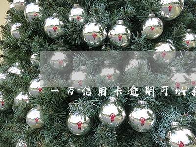 一万信用卡逾期可以和银行协商吗