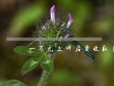一万元上诉后要收取多少律师费用 一万元上诉后要收取多少律师费用