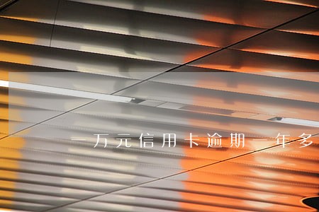 一万元信用卡逾期一年多少利息 一万元信用卡逾期一年多少利息