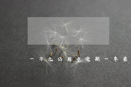一万元信用卡逾期一年要还多少钱 一万元信用卡逾期一年要还多少钱