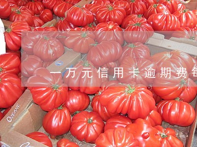 一万元信用卡逾期费每天多少 一万元信用卡逾期费每天多少