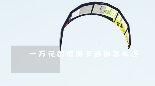 一万元的信用卡逾期怎么还 一万元的信用卡逾期怎么还
