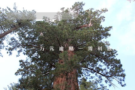 一万元逾期一周利息200 一万元逾期一周利息200