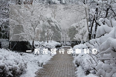 一万元银行逾期利息 一万元银行逾期利息