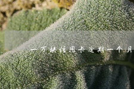 一万块信用卡逾期一个月利息 一万块信用卡逾期一个月利息