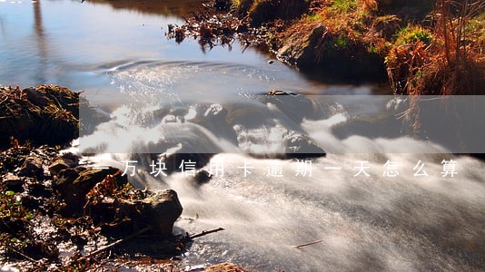 一万块信用卡逾期一天怎么算 一万块信用卡逾期一天怎么算