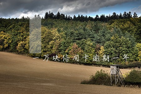 一万块信用卡逾期一年 一万块信用卡逾期一年