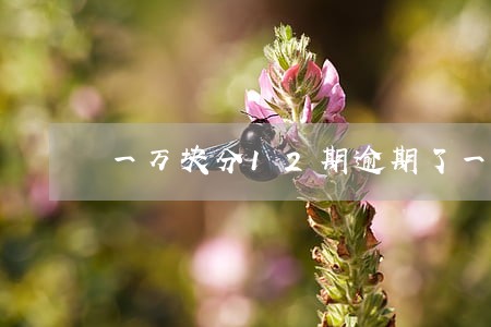 一万块分12期逾期了一个月 一万块分12期逾期了一个月