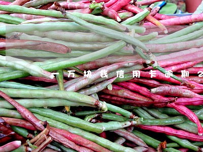 一万块钱信用卡逾期2月 一万块钱信用卡逾期2月
