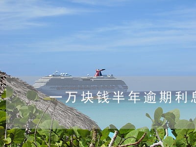 一万块钱半年逾期利息5000 一万块钱半年逾期利息5000