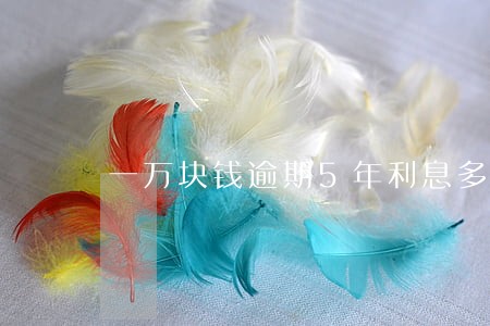 一万块钱逾期5年利息多少 一万块钱逾期5年利息多少