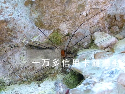 一万多信用卡逾期4个月已立案 一万多信用卡逾期4个月已立案