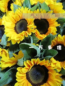 一万多信用卡逾期多久被起诉 一万多信用卡逾期多久被起诉