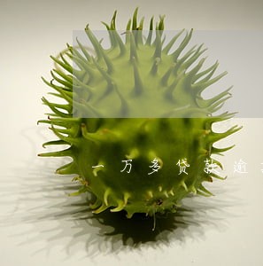 一万多贷款逾期多久被起诉 一万多贷款逾期多久被起诉