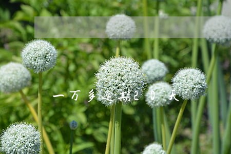 一万多逾期20天 一万多逾期20天