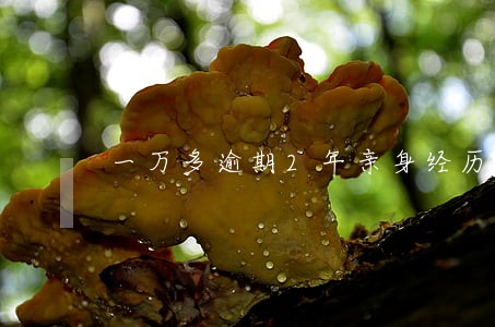 一万多逾期2年亲身经历 一万多逾期2年亲身经历