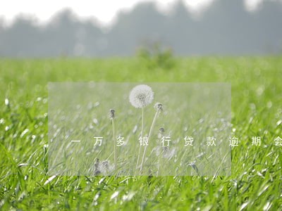 一万多银行贷款逾期会怎样 一万多银行贷款逾期会怎样