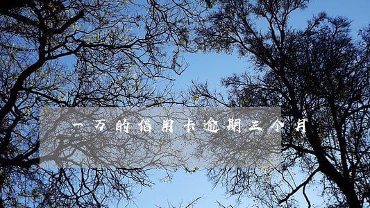 一万的信用卡逾期三个月 一万的信用卡逾期三个月
