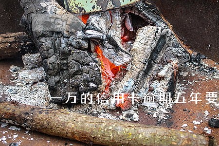 一万的信用卡逾期五年要还多少钱 一万的信用卡逾期五年要还多少钱