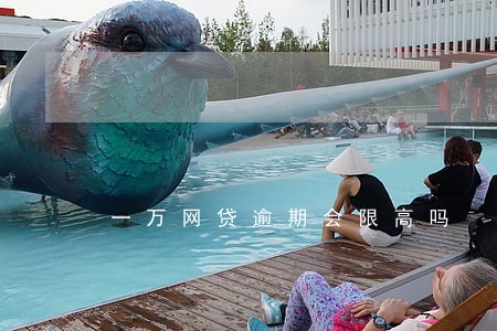 一万网贷逾期会限高吗 一万网贷逾期会限高吗