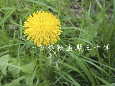 一万贷款逾期三十年 一万贷款逾期三十年