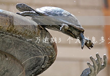 一万逾期3个月利息多少钱 一万逾期3个月利息多少钱