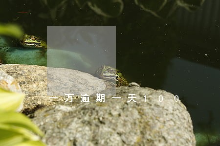 一万逾期一天100