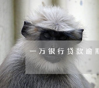 一万银行贷款逾期七年 一万银行贷款逾期七年