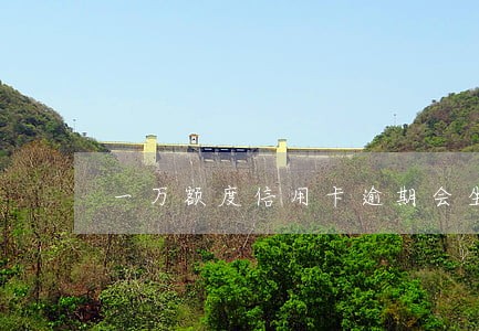 一万额度信用卡逾期会坐牢吗 一万额度信用卡逾期会坐牢吗