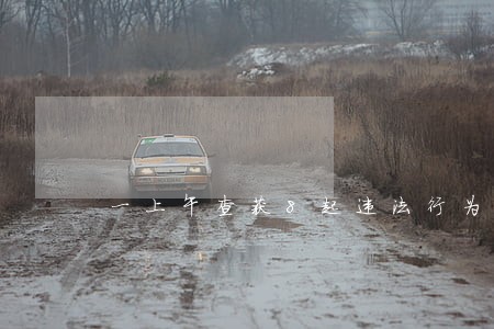 一上午查获8起违法行为 一上午查获8起违法行为