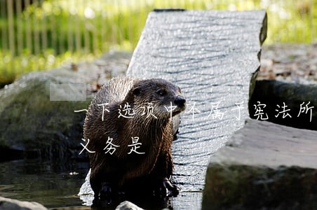 一下选项中不属于宪法所规定的公民的基本义务是