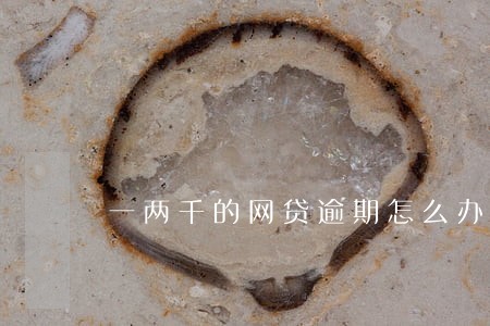 一两千的网贷逾期怎么办 一两千的网贷逾期怎么办