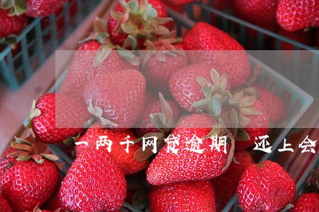 一两千网贷逾期沒还上会怎样 一两千网贷逾期沒还上会怎样