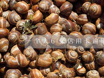 一个人6张信用卡逾期有什么后果