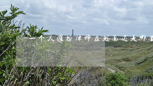 一个人假扮律师在越南还是哪里 一个人假扮律师在越南还是哪里