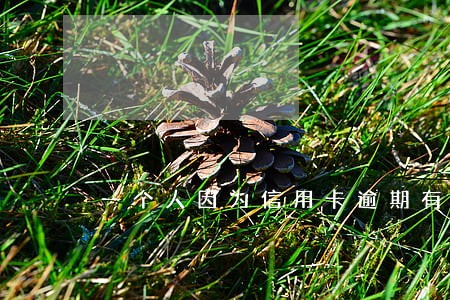 一个人因为信用卡逾期有影响吗 一个人因为信用卡逾期有影响吗