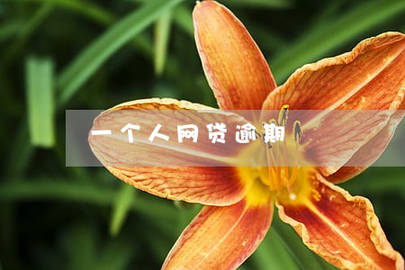 一个人网贷逾期 一个人网贷逾期