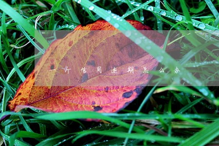 一个信用逾期怎么办