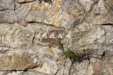 一个刑法大佬