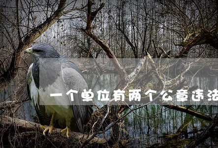 一个单位有两个公章违法吗 一个单位有两个公章违法吗