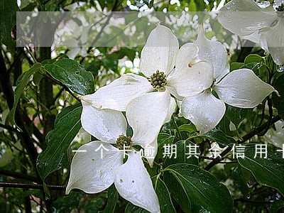一个卡逾期其余信用卡会停吗 一个卡逾期其余信用卡会停吗