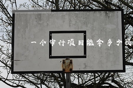 一个审计项目能拿多少提成 一个审计项目能拿多少提成