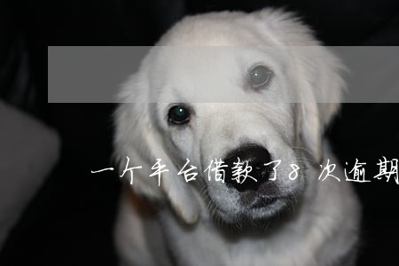 一个平台借款了8次逾期了 一个平台借款了8次逾期了