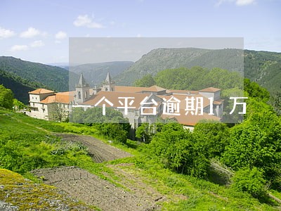 一个平台逾期1万 一个平台逾期1万